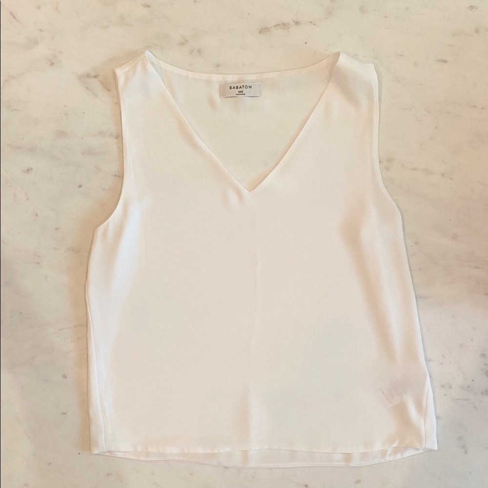 Aritzia Babaton Murphy Blouse